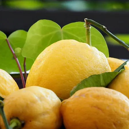 La Pavona Luxury Collection Appartamento