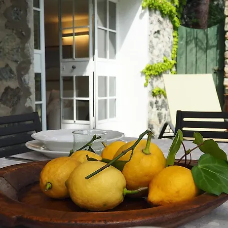 La Pavona Luxury Collection