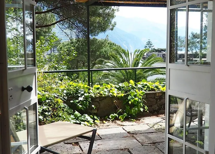 La Pavona Luxury Collection *